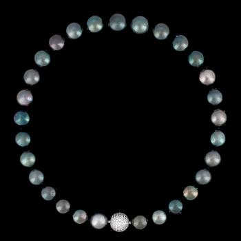 710. A cultured Tahitit pearl, 14,7-13,4 mm, necklace.