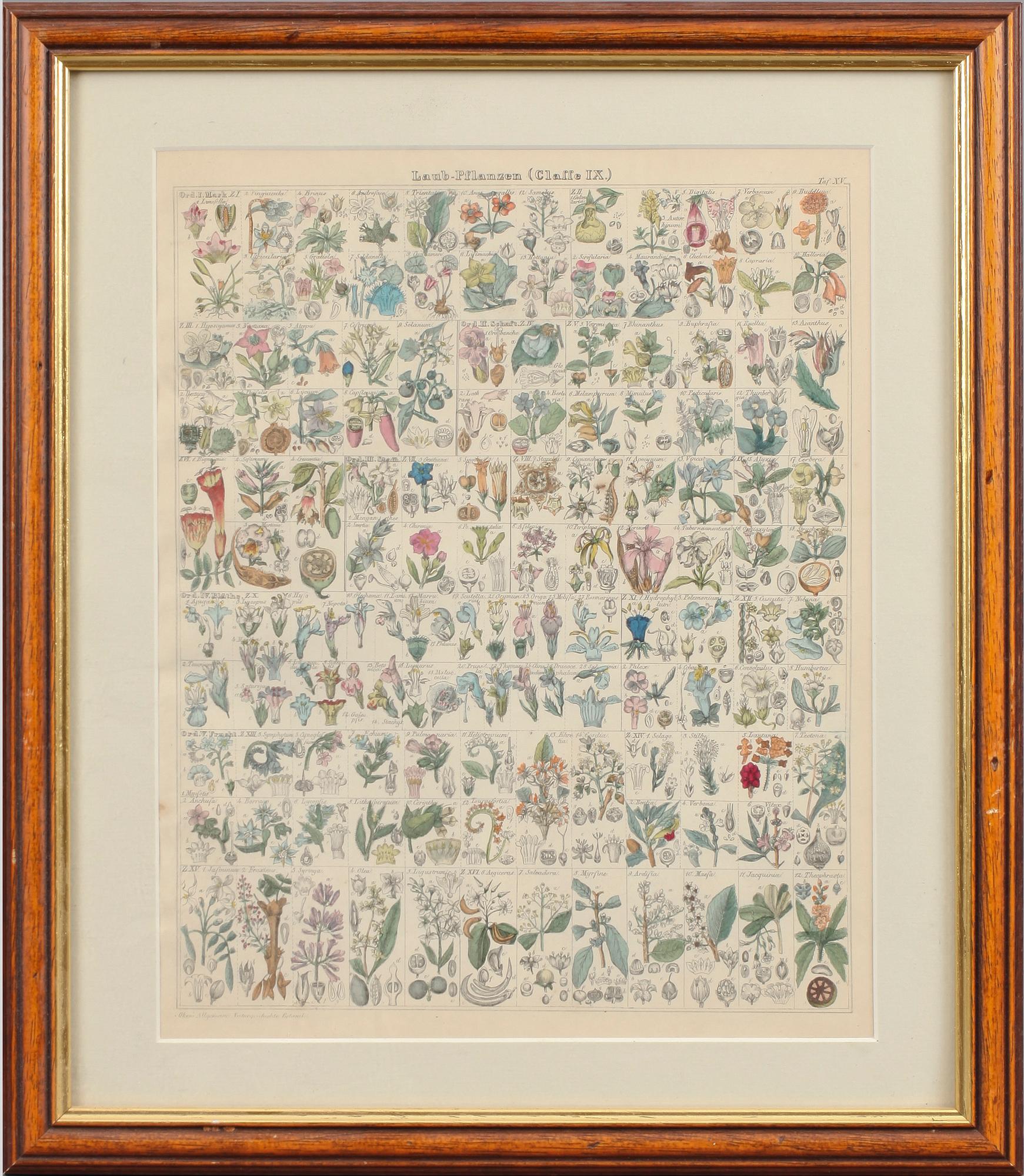 GRAFISKA BLAD, 4 st, 1800/1900-tal.