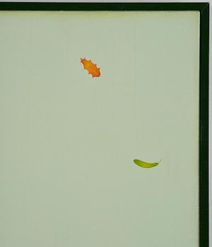 Jens Fänge, "Somnambul".