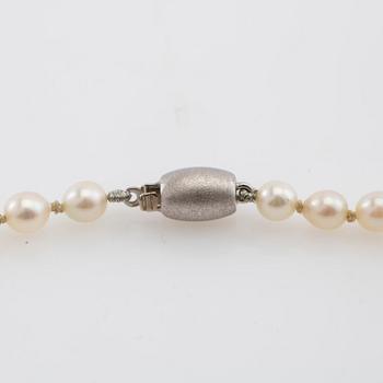 Halsband av odlade pärlor med lås av 14K vitguld.