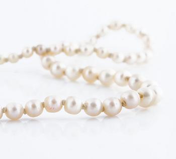 A possibly cultured pearl necklace by Gustav Dahlgren & Co, Malmö, 1951.