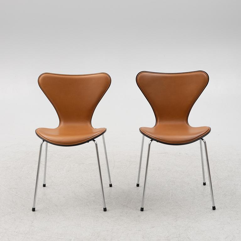 Arne Jacobsen, stolar 6 st "Sjuan" för Fritz Hansen, Danmark, 2020.