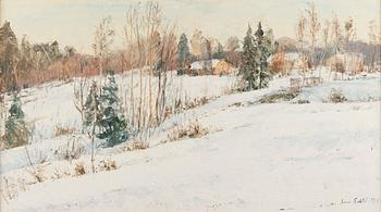 Aares Salli, Vinterlandskap.