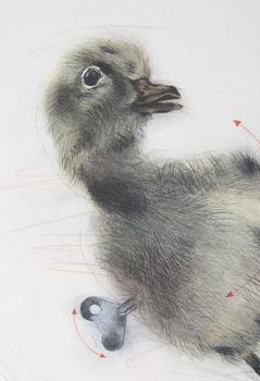 ÅBERG, LASSE, litografi, sign o numr 120/150.