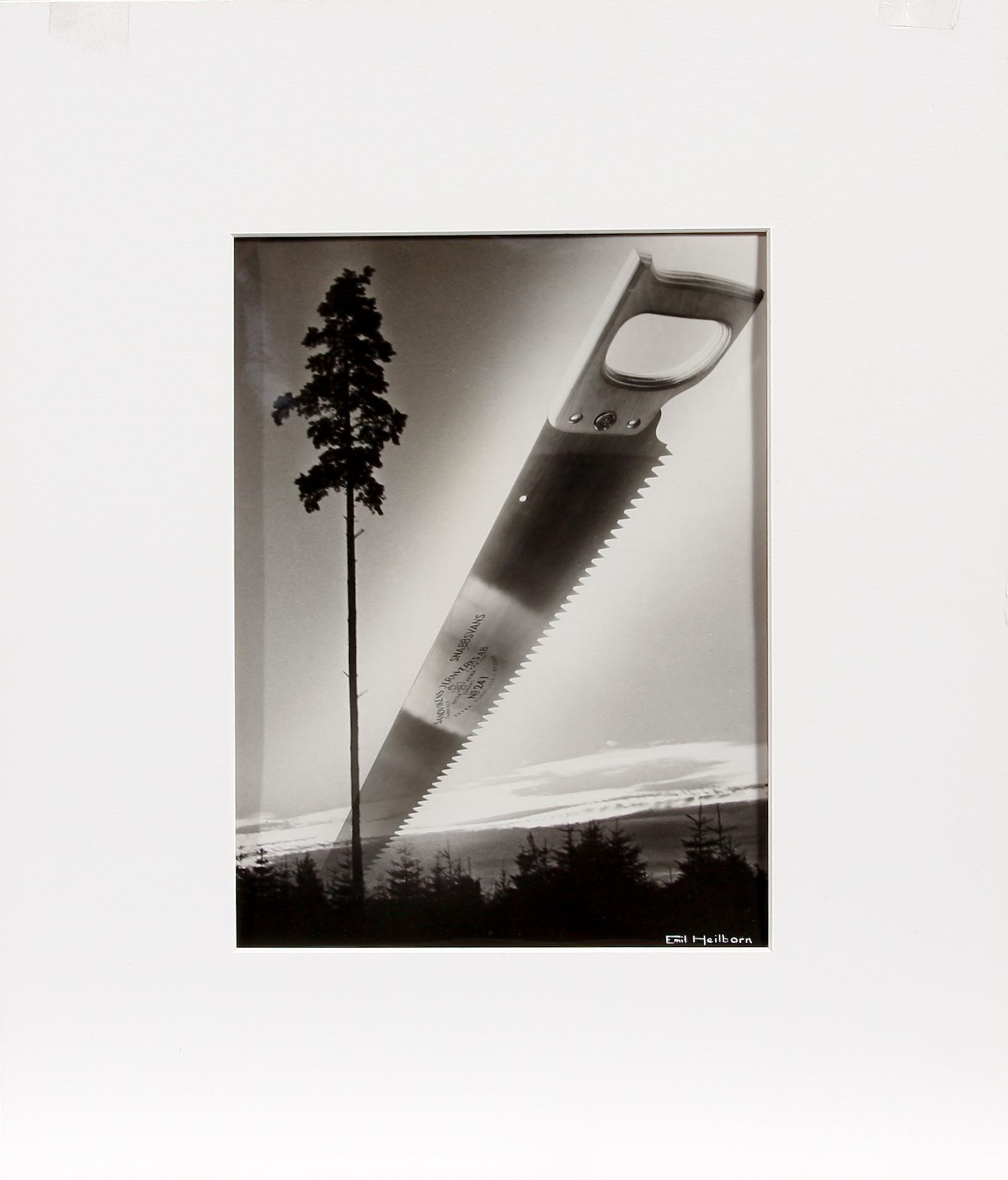 EMIL HEILBORN, fotografi, sign o stämpelmärkt.