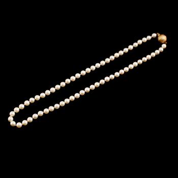 COLLIER, lås 18 k guld, odlade pärlor.