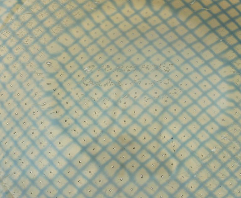 SKÅL, glas, Kraka, Sven Palmqvist, Orrefors, signerad.