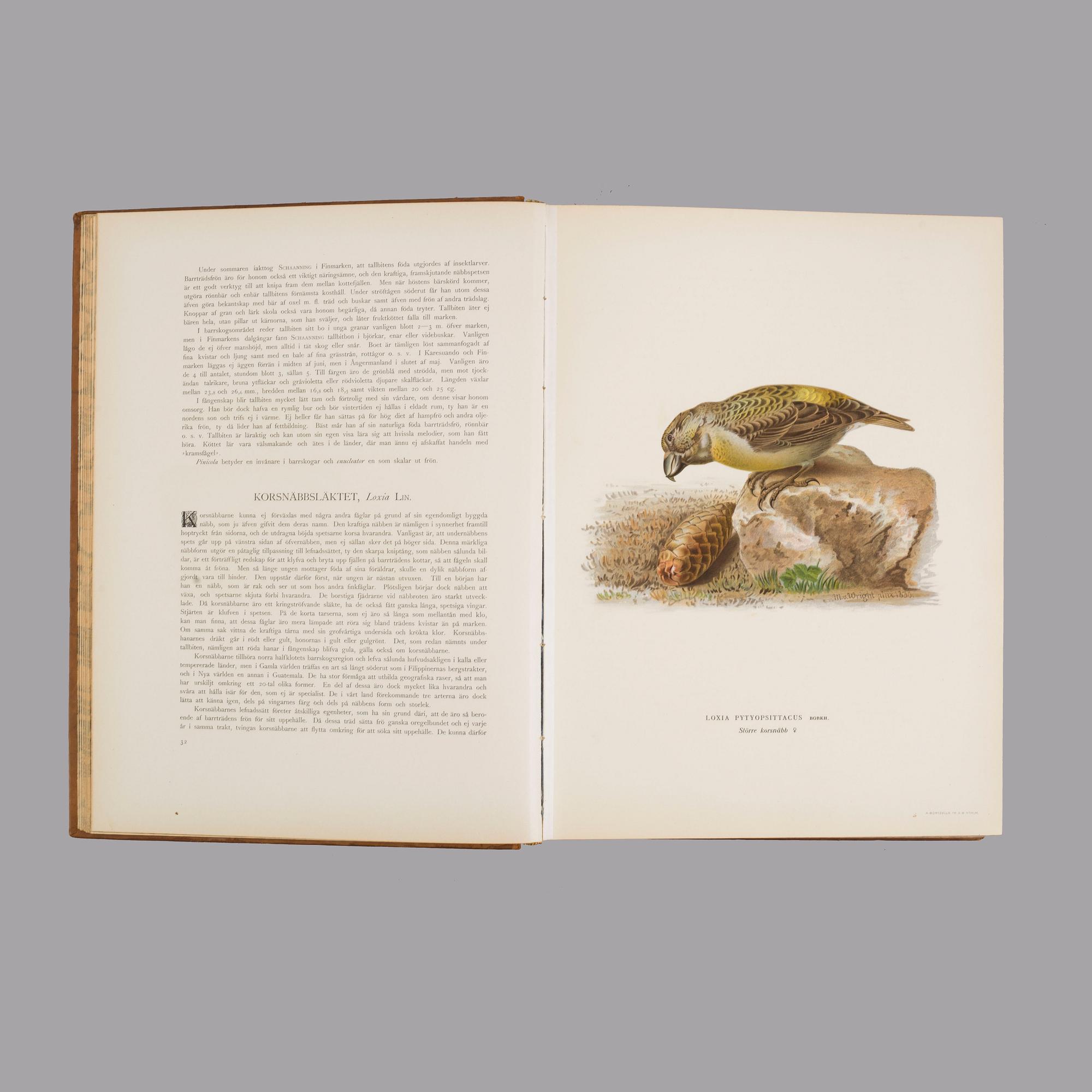 Three book "Svenska fåglar (Swedish birds)" with images by M, W & F VON WRIGHT, printed by Börtzells AB, 1924-1929.
