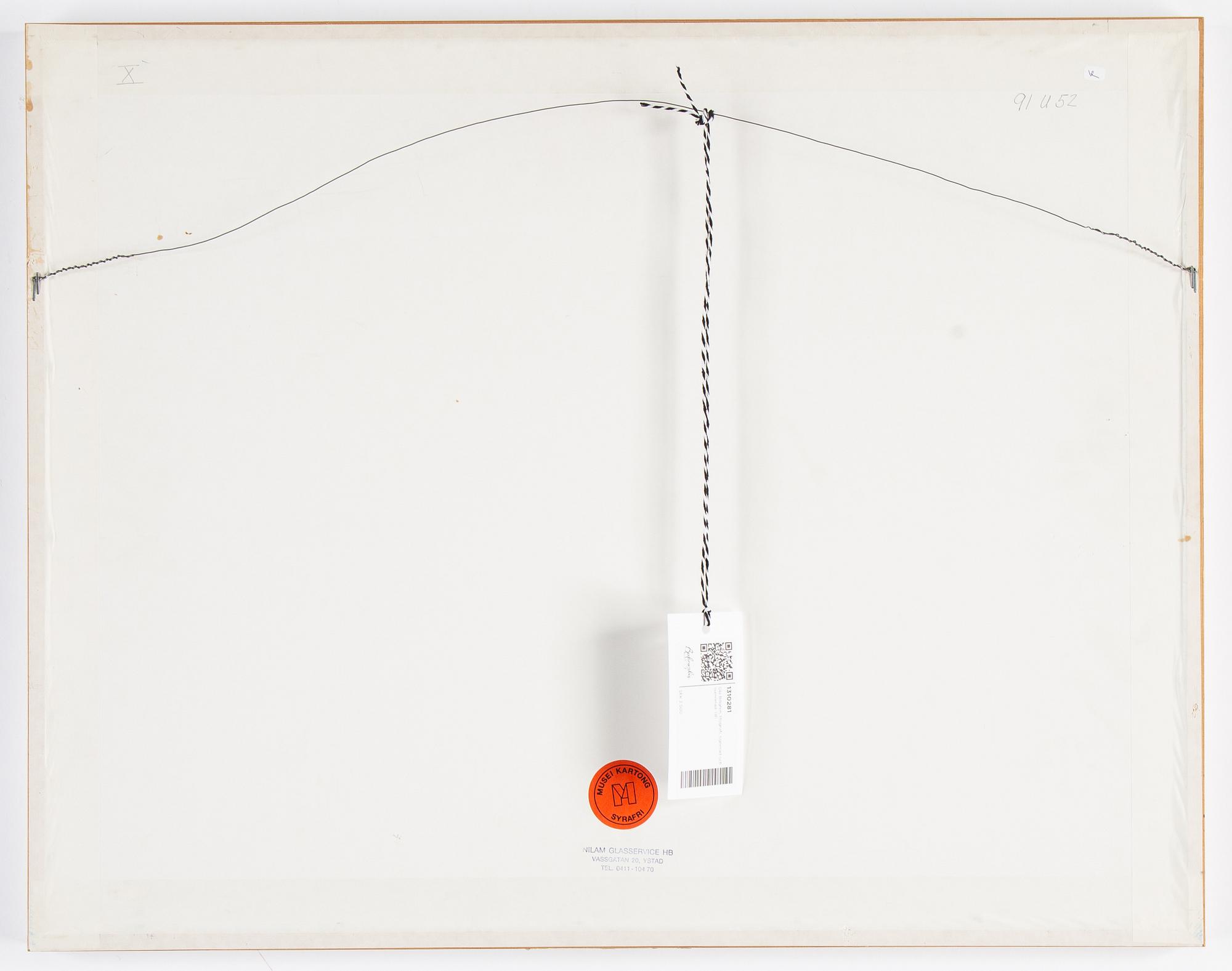 Ola Billgren, lithograph in colours, 1983, signed 184/200.