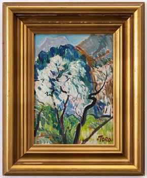 Tord Leander-Engström, Mountain landscape.