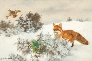 Bruno Liljefors, Fox in winter landscape.