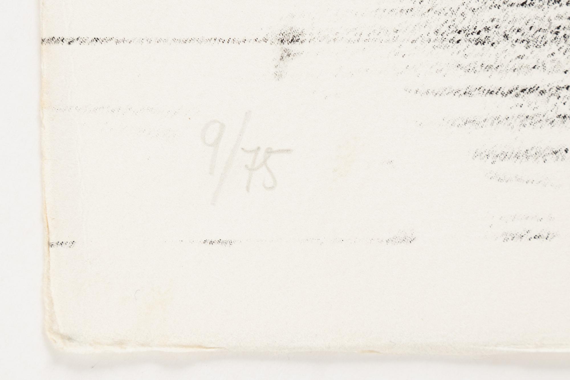 Djuric Miodrag Dado, 12 stycken litografier med mapp. Samtliga signerade och numrerade 9/75.