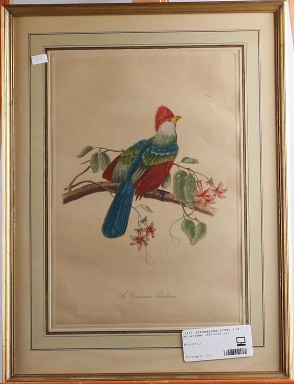 LITOGRAFISKA TRYCK, 2 st, kolorerade, 1800/1900-tal.