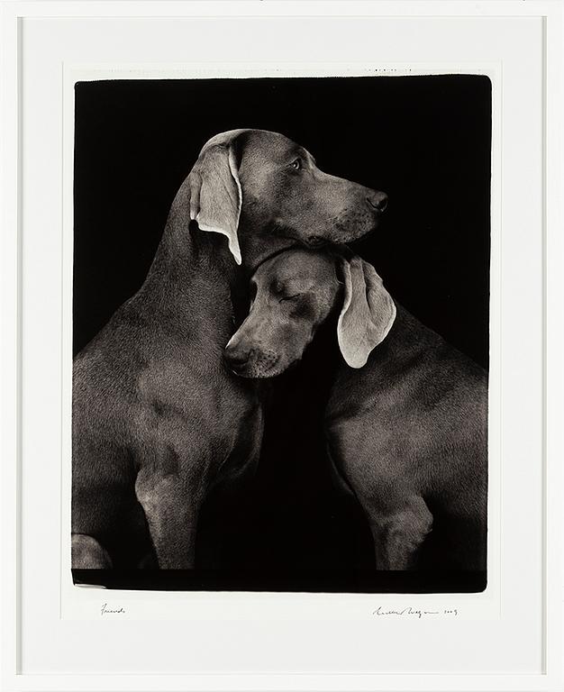 WILLIAM WEGMAN, photograph, signed and dated -09.