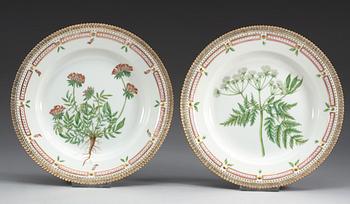 A set of six Royal Copenhagen 'Flora Danica' dinner plates, 20th Century.