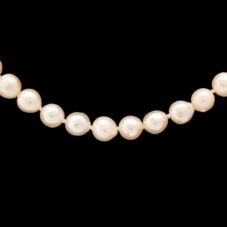 Halsband av odlade pärlor med lås 18K vitt och rött guld.