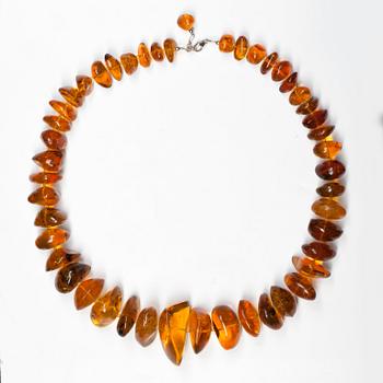 COLLIER i doserad bärnsten från Dominikanska Republiken med 47 st olika insekter inuti.