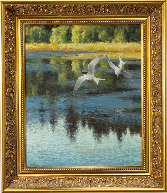 Thure Wallner, Tern bird.
