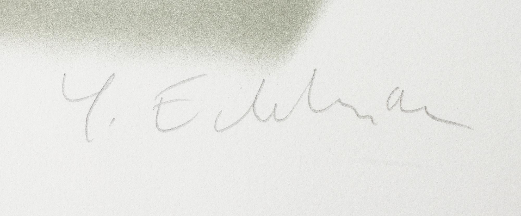 Yrjö Edelmann, "Packed blue and grey heaven".