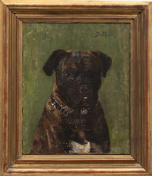 Johan von Holst, Hundporträtt, Boxer.