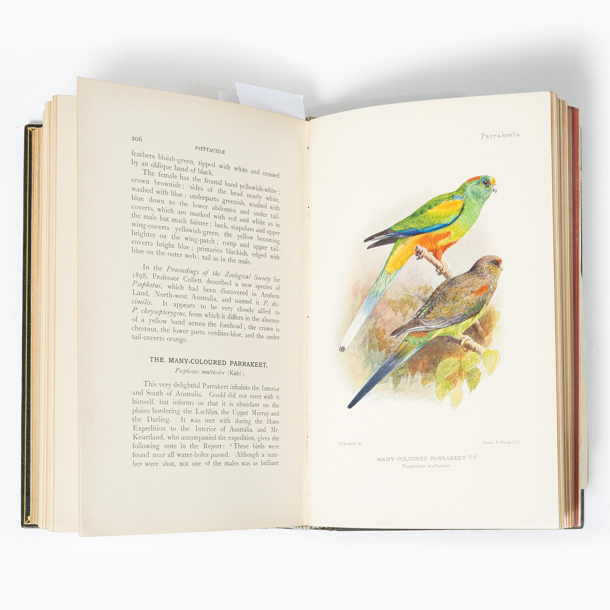 With 20 hand-coloured plates of Parrakeets.