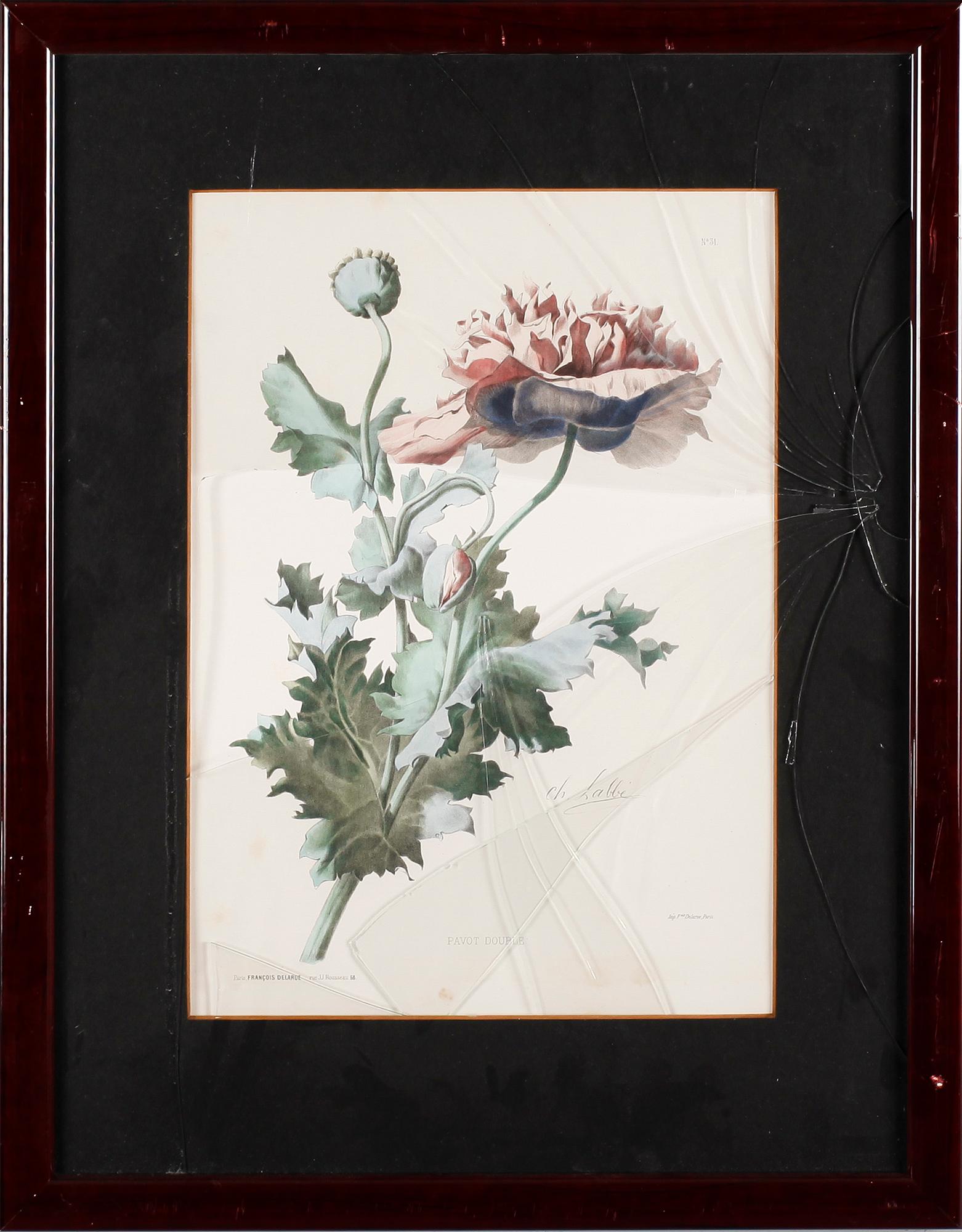 TAVLOR, 6 st, tryck, 1900-talets andra hälft.