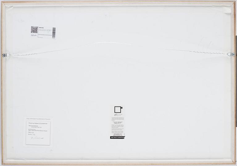 Robert Zuckerman, "David Bowie, Coney Island, New York", 1990.