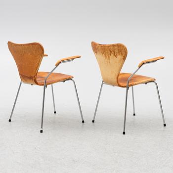 Arne Jacobsen, stolar, 8 st, "Sjuan", Fritz Hansen, Danmark, 1980-tal.