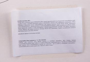 ELINA LUUKANEN, färgetsning, signerad, daterad -97 och numrerad 5/60.