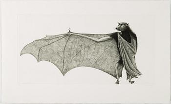 ETSNINGAR, 5 stycken, bland annat Hans Wigert.