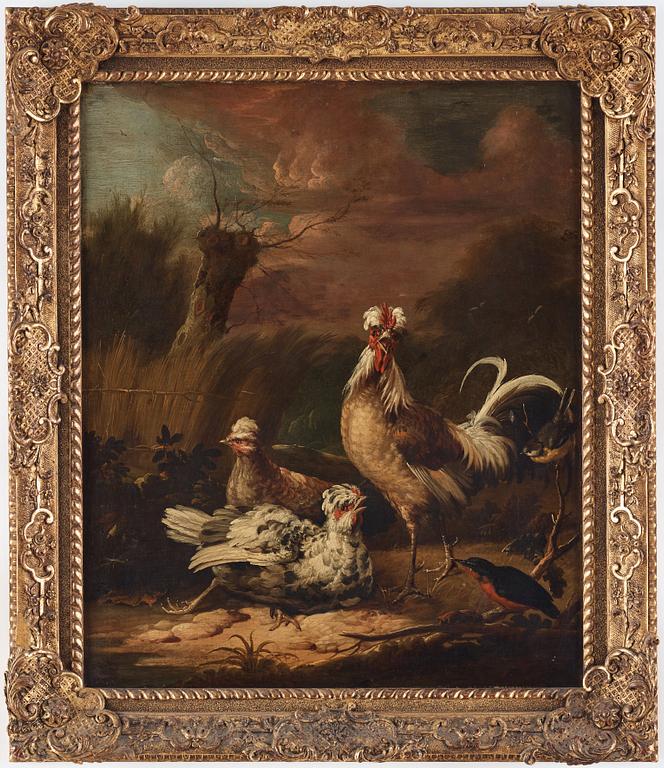 Melchior de Hondecoeter In the manner of the artist, Chickens.