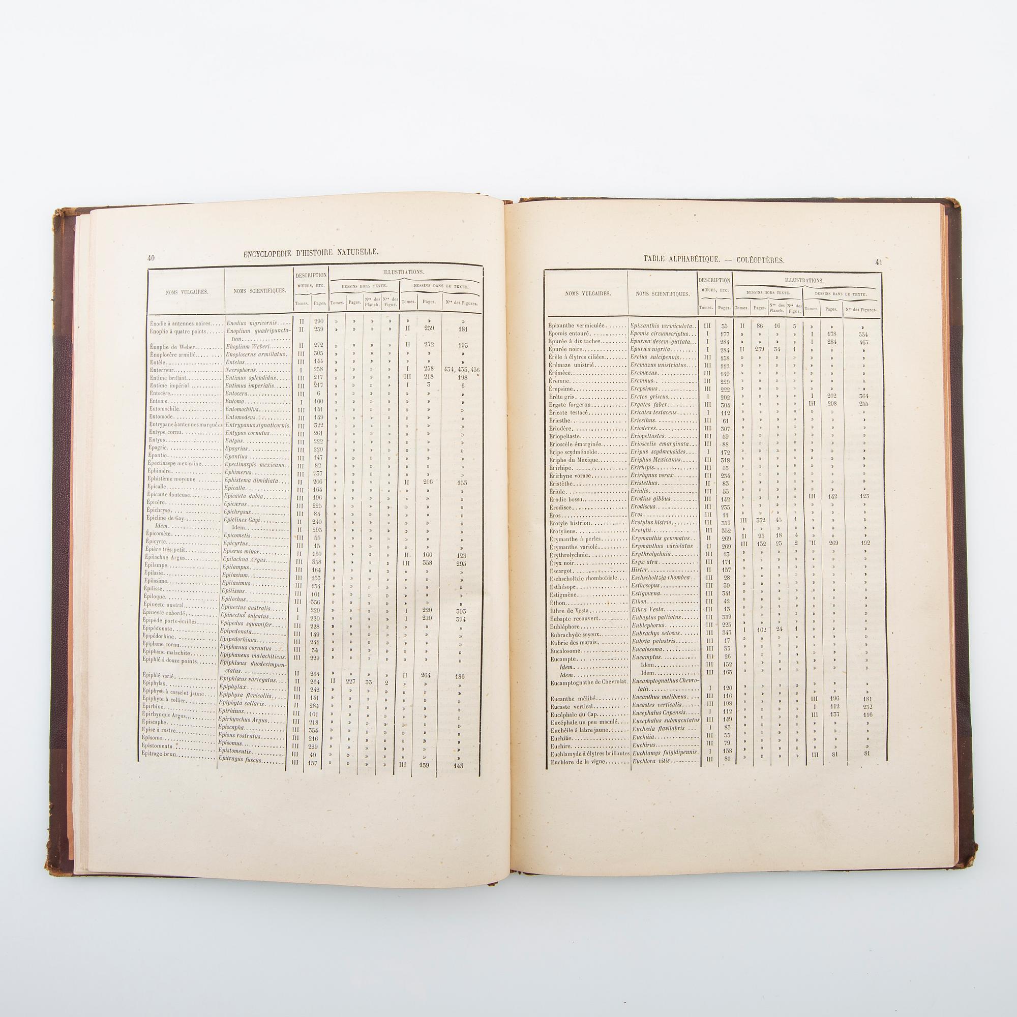 "Les Coléoptères..." & "Table Alphabetique .... Coléoptères", 2 volumes, Paris 1876 & 1875.