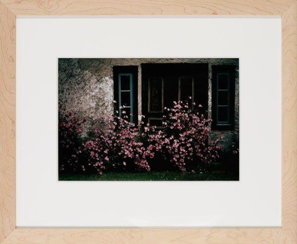 Hans Hammarskiöld, "Faludden, Gotland, 1975".