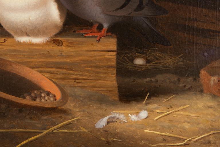 Ferdinand von Wright, Doves on the Attic.