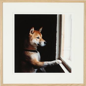 Peter de Ru, photograph signed and numbered AP1.