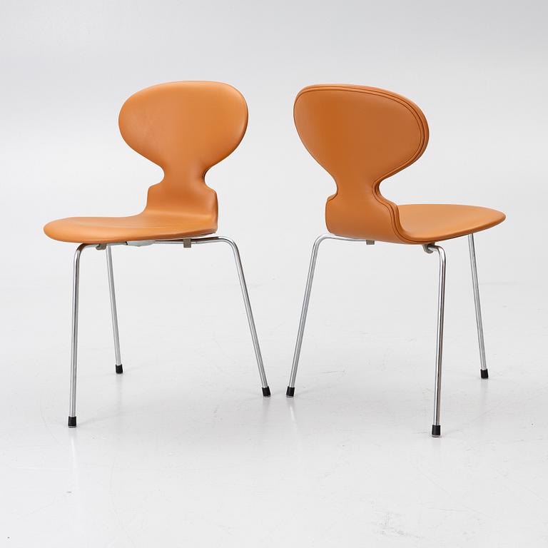 Arne Jacobsen, Stolar, 6 st, "Myran", Fritz Hansen, 1950/60-tal.
