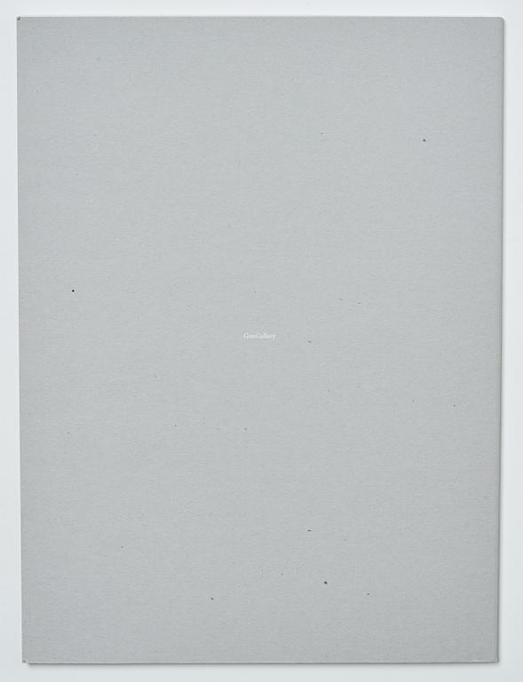 Sølve Søndsbø, bok Pictures from Savage Beauty signed.