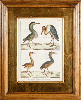 GRAVYRER, 2 st, efter Martinet, kolorerade, 1800-tal.
