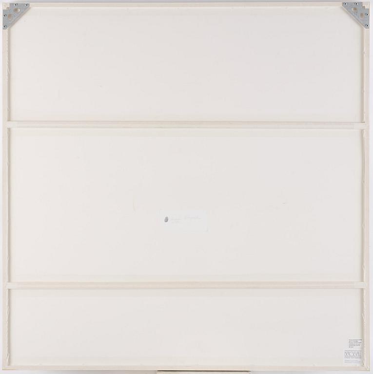 Cecilia Edefalk, Utan titel.