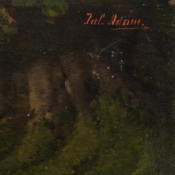 Julius II Adam, Kittens.