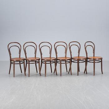 STOLAR, 6 st, Thonet-typ. 1900-tal.
