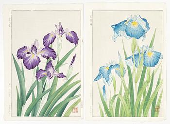 Kawarazaki Shodo, after, Two woodblock prints, "Irises", second part of the 20th century.
