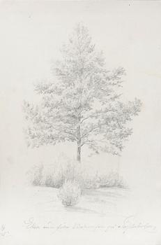 JOSEF WILHELM WALLANDER, tillskriven, blyerts, ej sign.