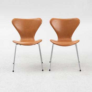 Arne Jacobsen, stolar 6 st. "Sjuan", Fritz Hansen, Danmark.