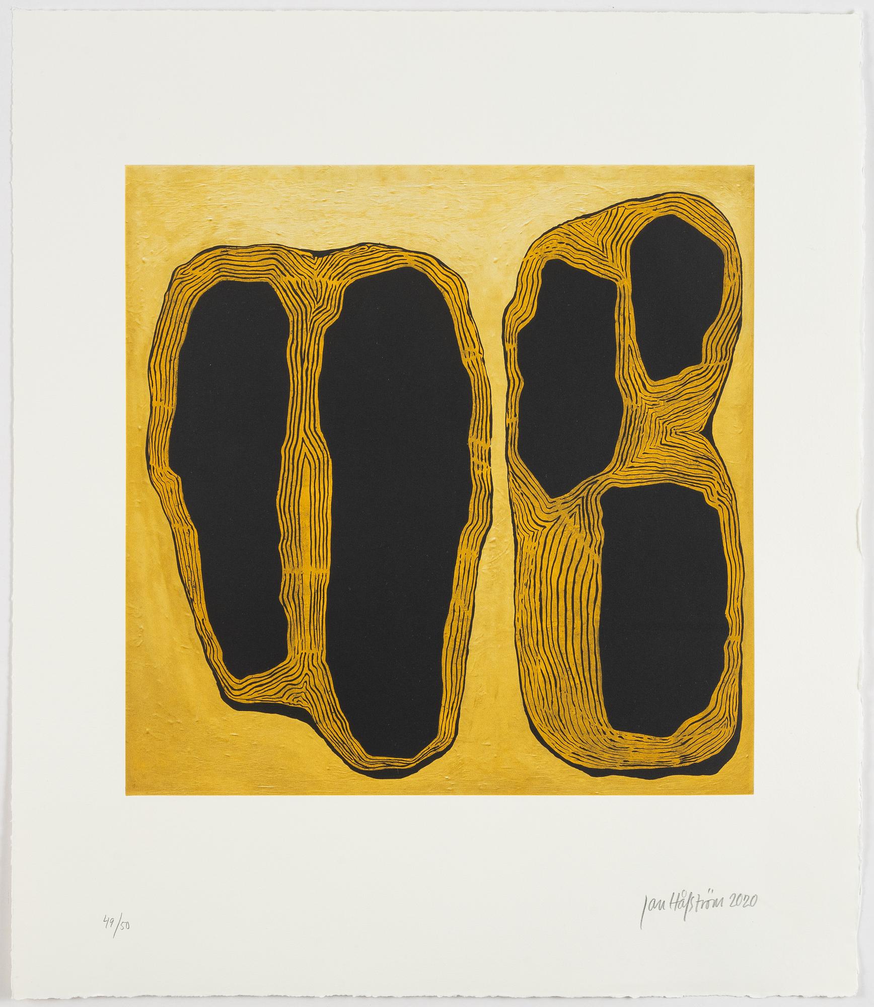 Jan Håfström, "Terra incognita".
