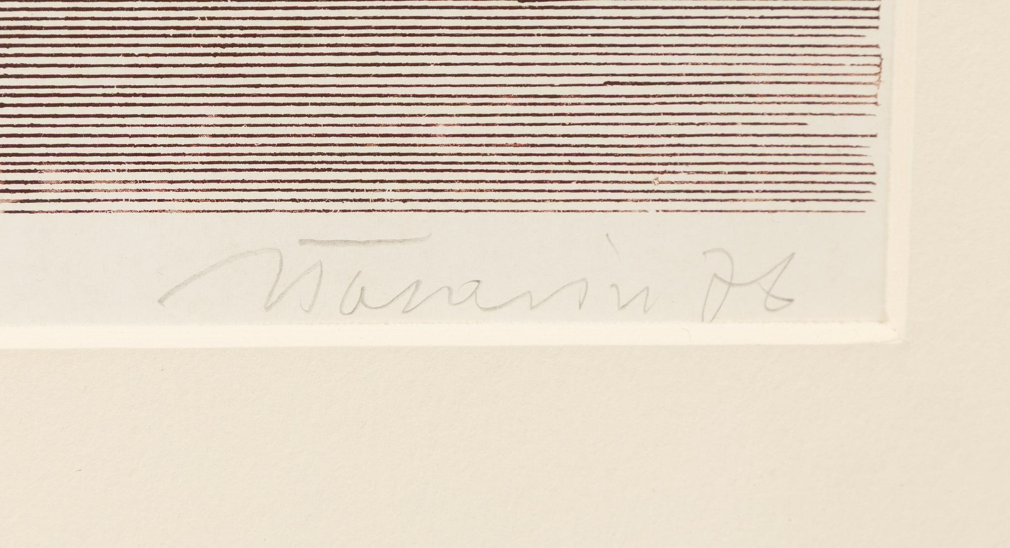 Jan Tarasin, Untitled.