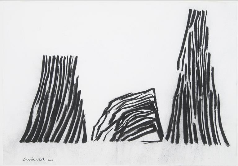 David Nash, 'Shadow lines'.