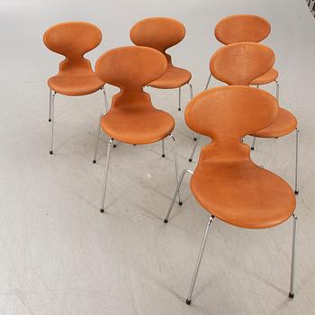 Arne Jacobsen, stolar, 6 st, "Myran", Fritz Hansen, Danmark.