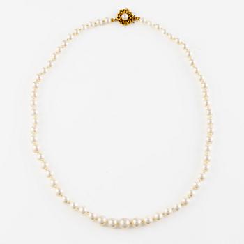 Pearl necklace, graduated cultured pearls with clasp in 18K gold.