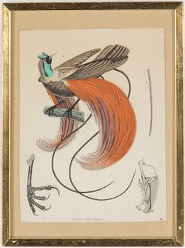 LITOGRAFISKA TRYCK, 4 st,handkolorerade, bl.a. Frankrike och Stuttgart, Tyskland, 1900-talets första hälft.